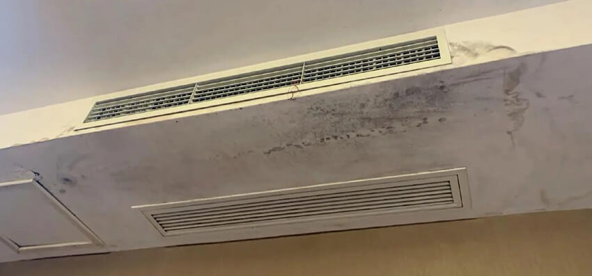 mold in your ac system